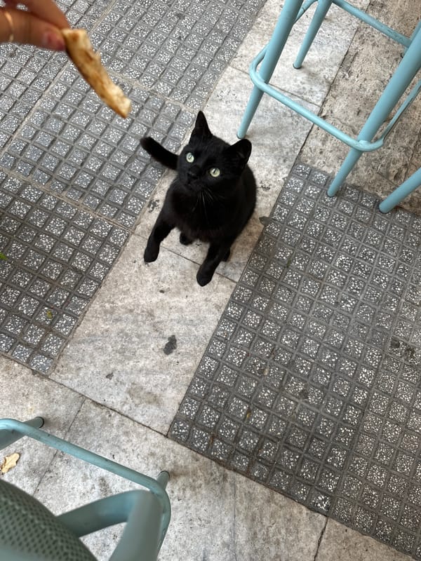 Afternoon snapshots capture daily life in Serres, Greece