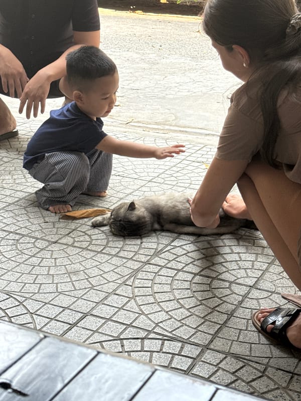 Early morning street life documented across Đà Nẵng, Vietnam