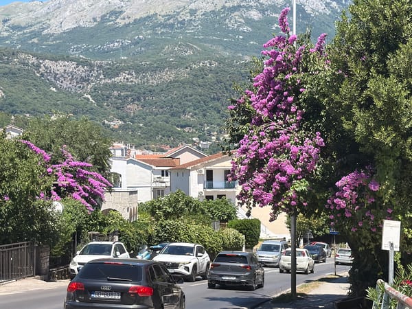 Summer morning street scenes in Budva, Montenegro