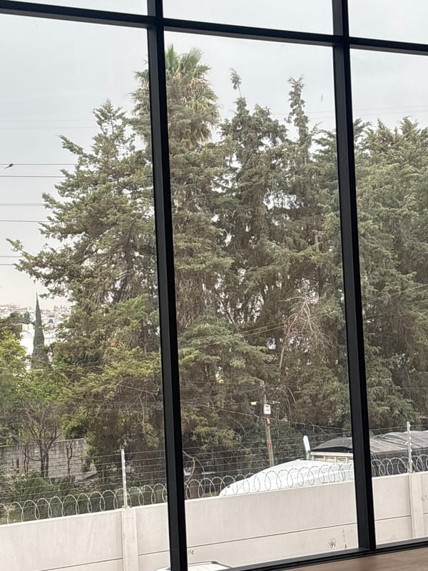 Urban window view captures tree, barbed wire wall in Mexico