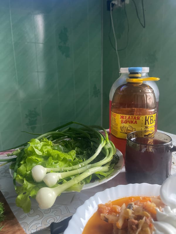 Rainy afternoon home meal in Krasnoe, Russia