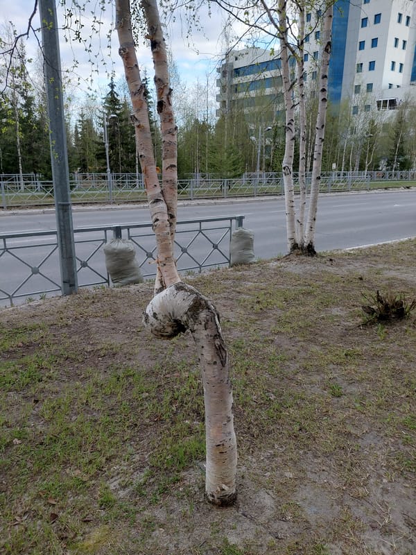 Witness documents quiet afternoon moments in Nadym, Russia