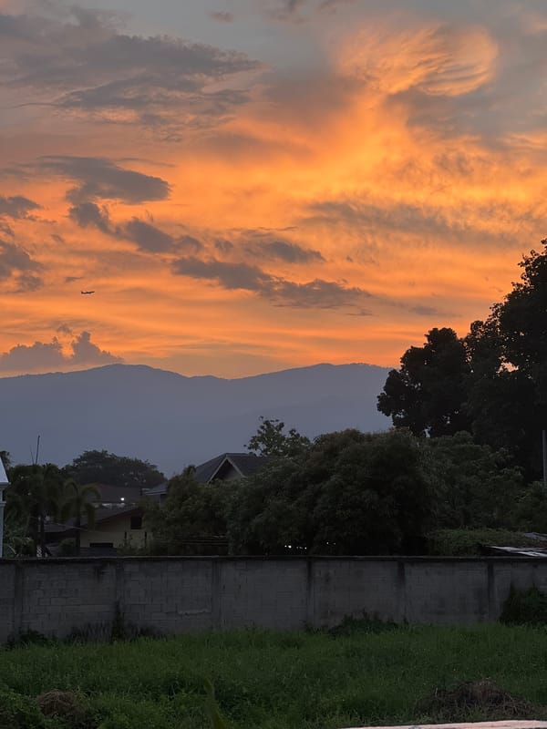 Sunset photography and lizard sighting captured in Chang Phueak
