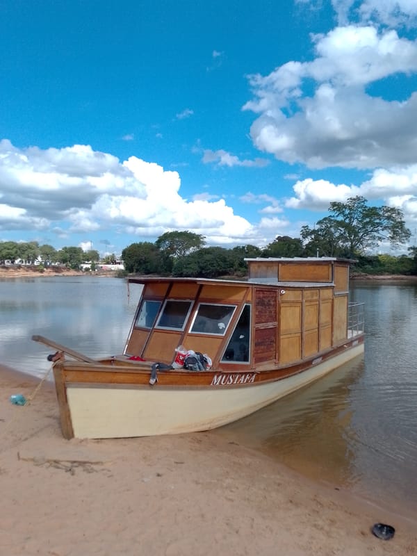 Wildlife murals and fishing scenes in Cáceres, Brazil