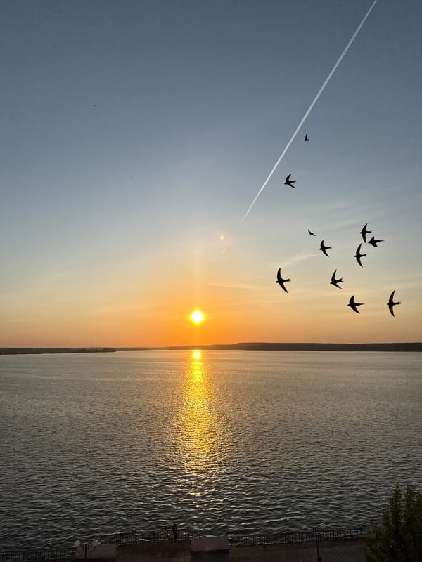 Sunset captured over Votkinsk Reservoir with birds and contrail