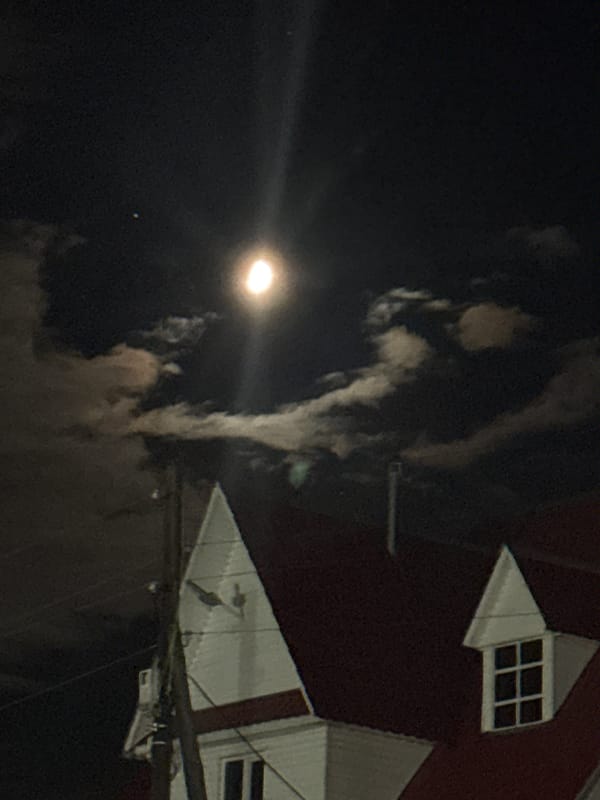 Evening moments captured in Прикамский: moonlit building, portrait photos