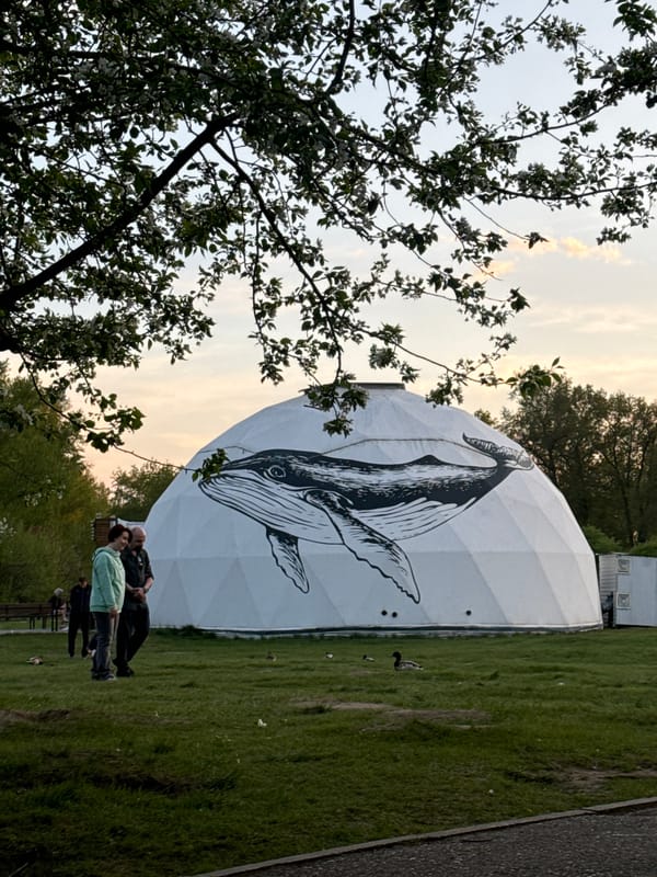 Whale-painted geodesic dome draws visitors in Krasnoyarsk park