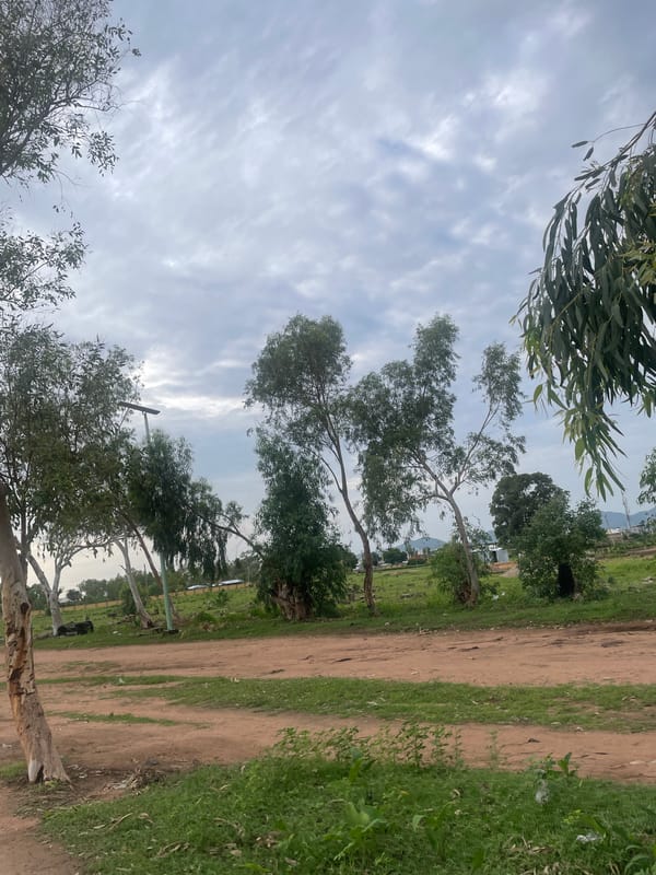 Overcast afternoon at a open field in Jauro Yinu, Nigeria