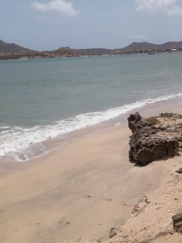 Coastal beach scene with rocks and hills documented