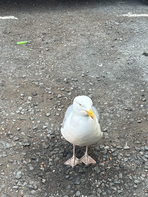 Casual street observations documented in Great Yarmouth