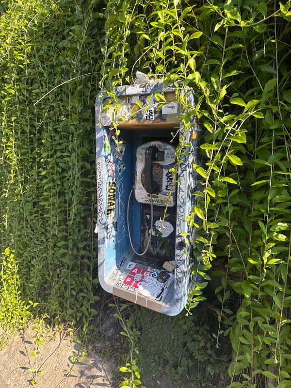 Overgrown payphone spotted amid vegetation in Kuta, Indonesia