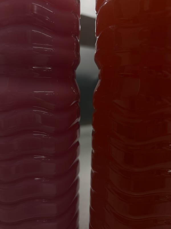 Two plastic bottles observed in close proximity in Puebla