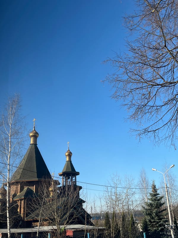 Person photographed with cats near church in Podolsk, Russia