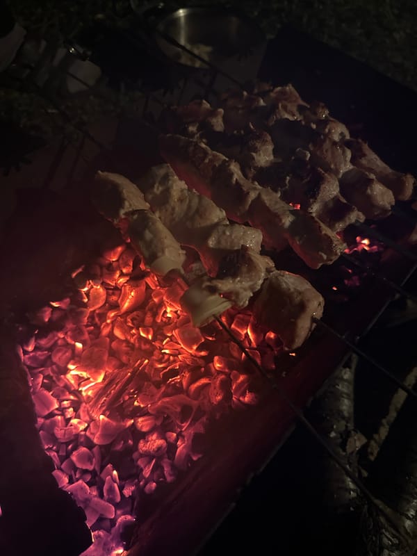Evening barbecue and hammock setup observed in Biysk