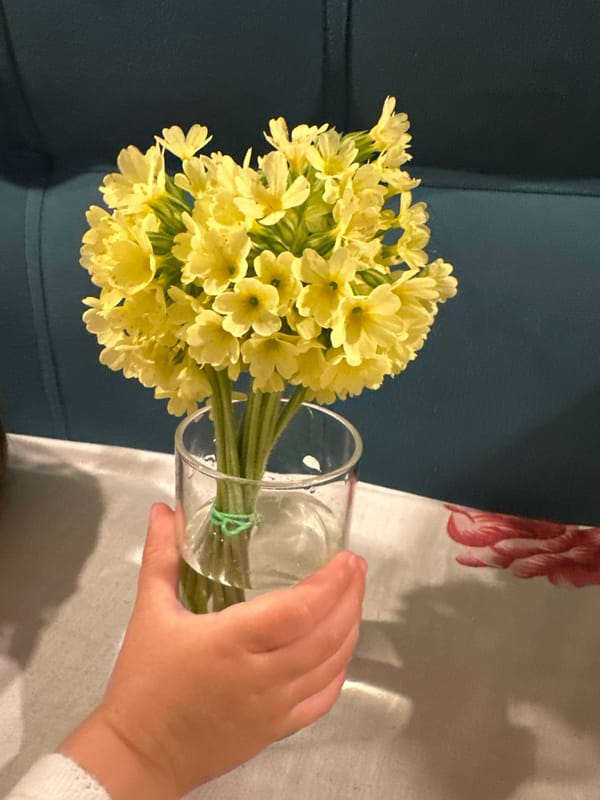 Baby receives yellow primrose bouquet in Wisła home