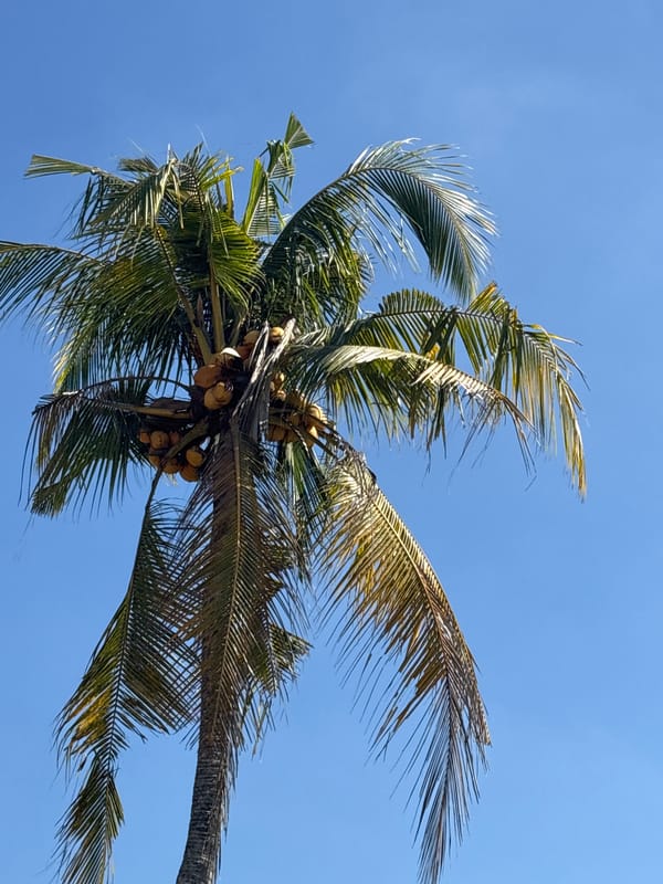 Cruising through Tabanan's rural Balinese streets and scenery
