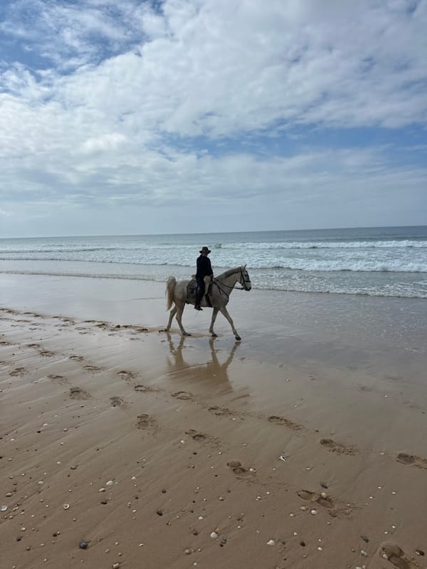 Beach horseback riding observed in Portugal coastal area