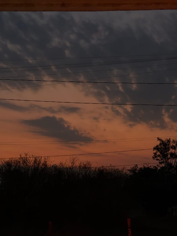 Sunset skies and affectionate dogs captured in Cuautla, Mexico