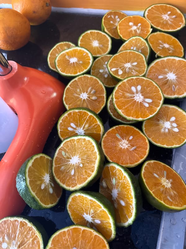 Sliced citrus fruits documented at Vietnam heritage area
