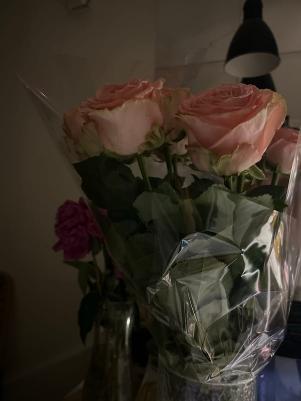 Pink rose bouquets documented at Moscow indoor gathering