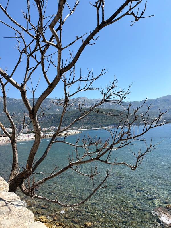 Morning wander through Budva's Old Town landmarks and seafront