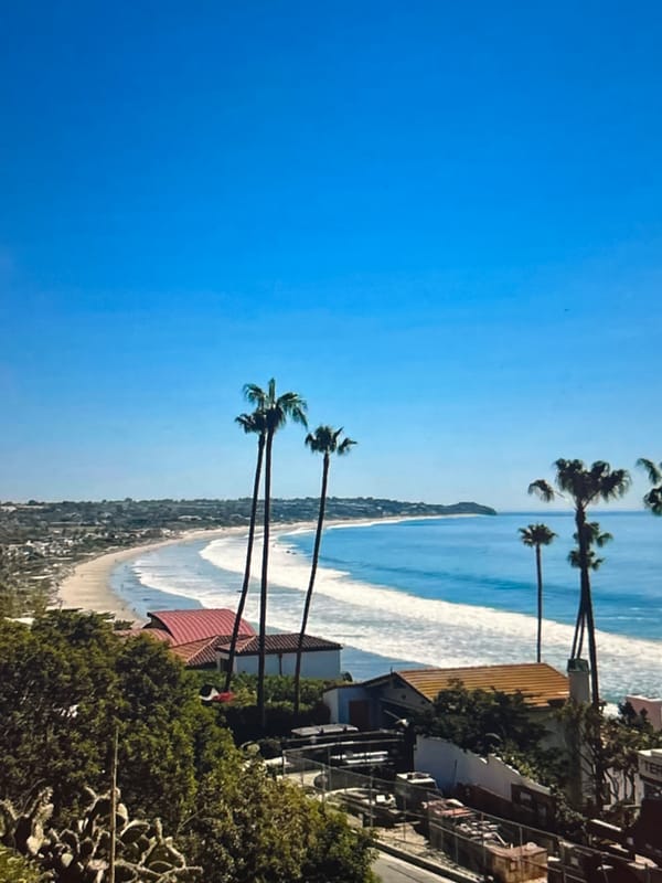 Palm trees, beaches, and city streets around Los Angeles at golden hour