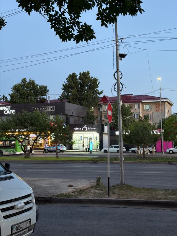 Everyday street life across Shymkent's commercial and residential areas