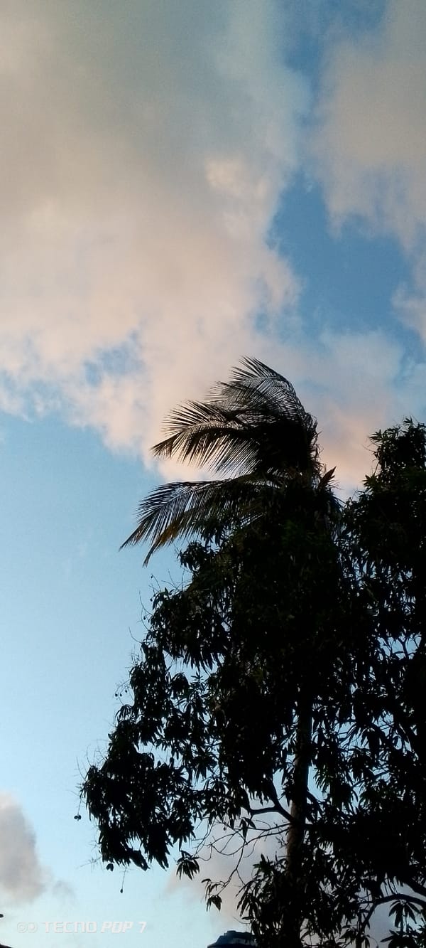 Evening sky watching documented across Altagracia, Venezuela