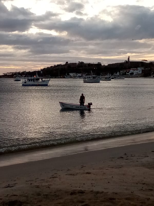 Coastal sunsets and children's choir performance captured by witness