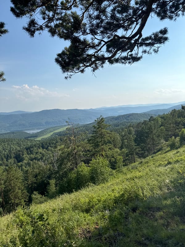 Hilltop views over Krasnoyarsk's taiga forests in summer