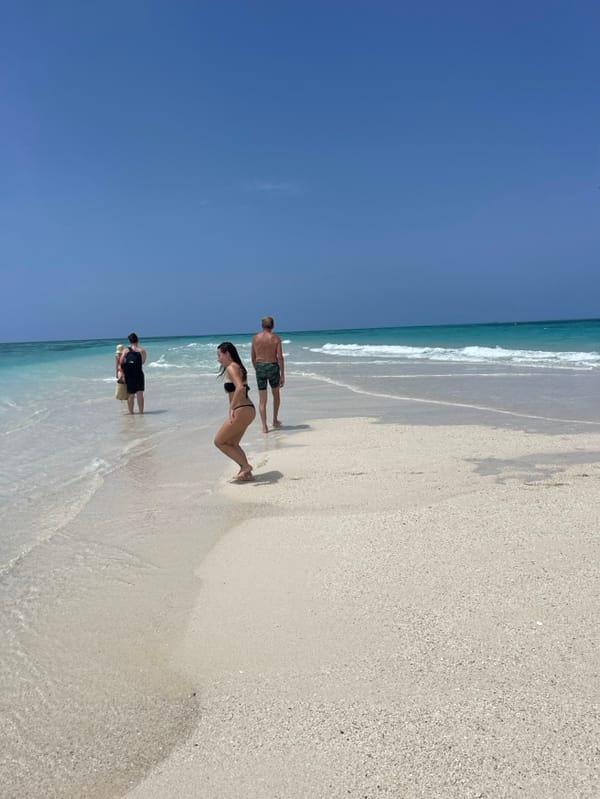 Morning beach activities observed along Zanzibar coastline