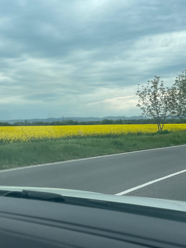 Undescribed memory recorded in Badeshte, Bulgaria