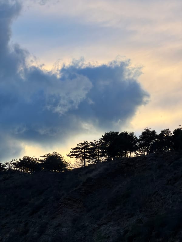 Afternoon moments documented across Tbilisi during golden hour