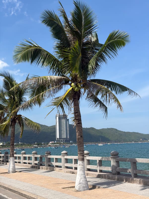 Morning scenes captured along Nha Trang's coastal promenade