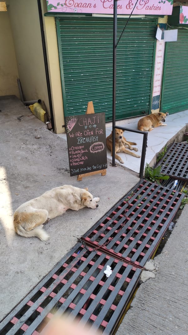 Morning life documented in Bhagsu tourist town, India