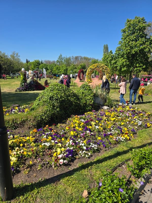 Floral exhibition draws visitors to Burgas park with displays, sculptures