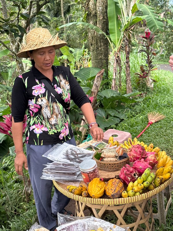 Daily life scenes captured in Penebel, Indonesia near rice terraces
