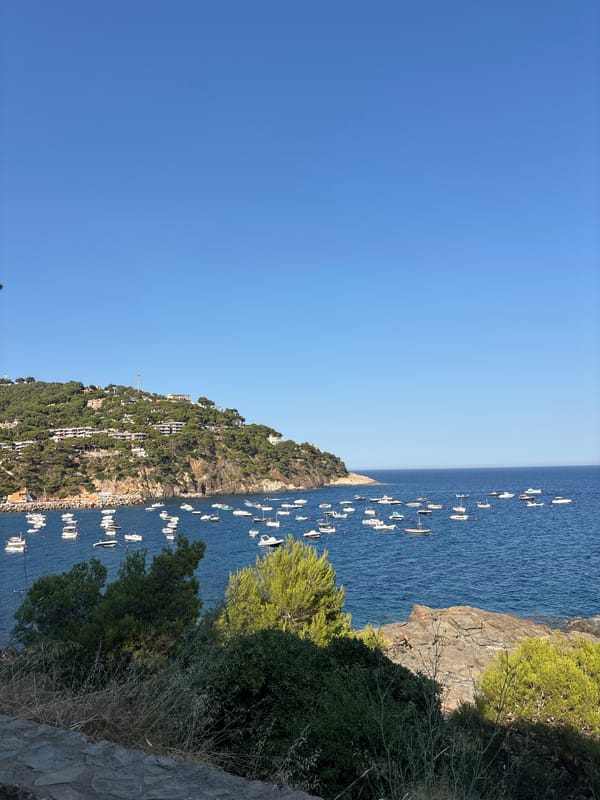 Llafranc coastline and village from the hilltop paths