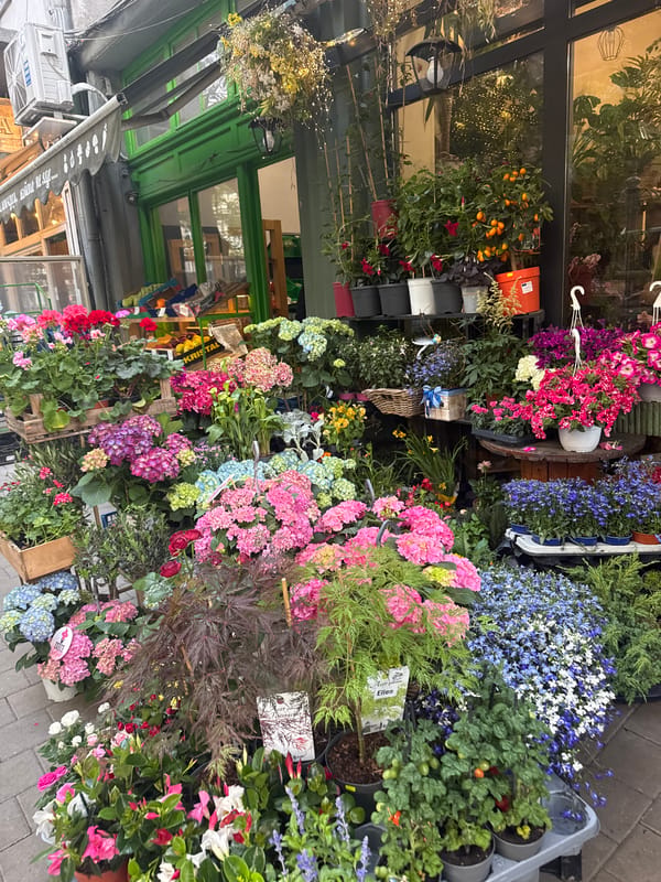 Morning routine documented across Sofia flower shop and cafe