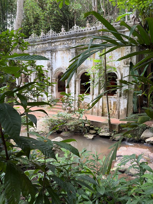 Overgrown stone ruins at Wat Phra That Doi Suthep, Chiang Mai