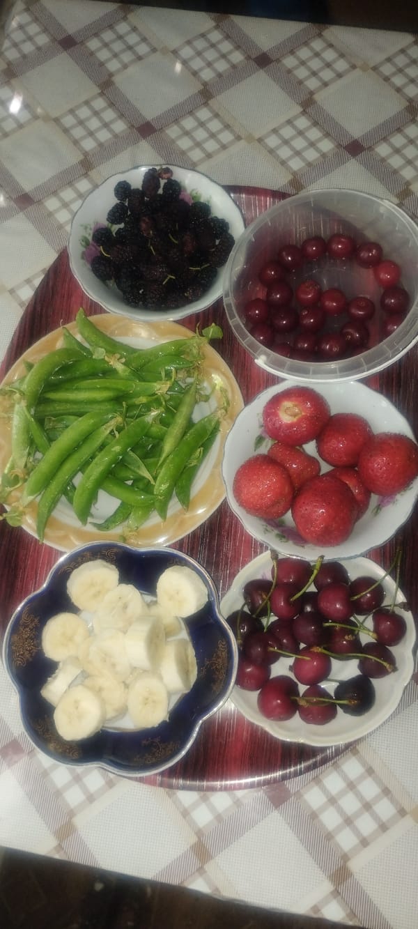 Domestic afternoon in Zaporizhzhia with food, resting cat, soccer ball