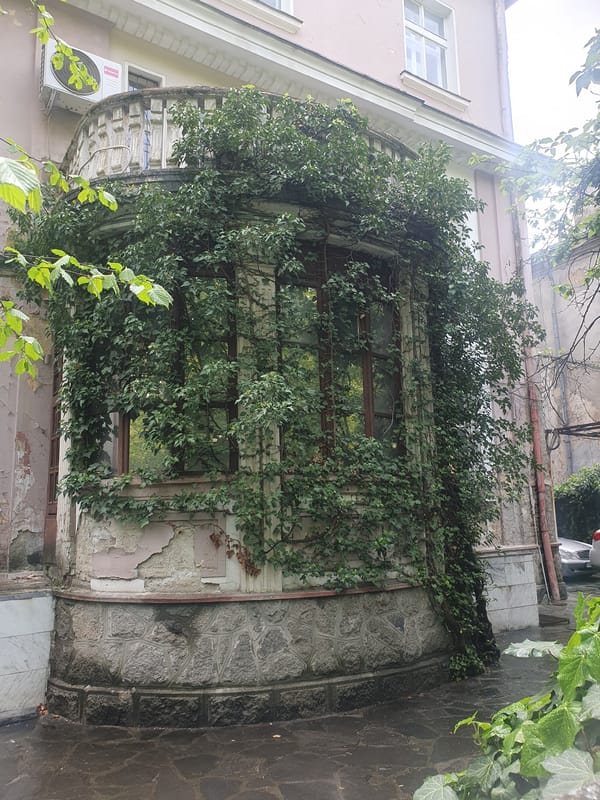 Everyday scenes documented across Plovdiv during spring morning