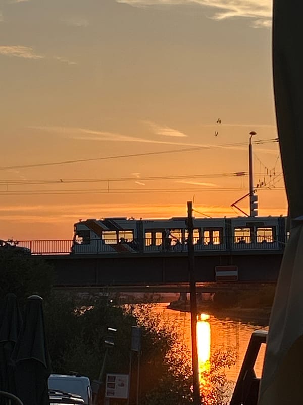 Golden-hour trams and riverside light in Mannheim