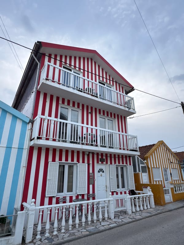 Witnesses capture Ílhavo's famous striped houses in Portugal