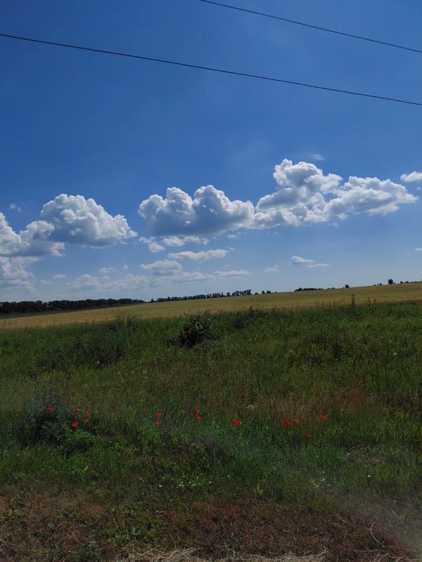 Open farmland and country roads on a clear summer morning