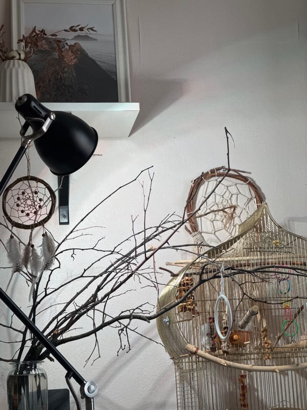 Izhevsk resident documents afternoon with selfies, pet birds, home decor