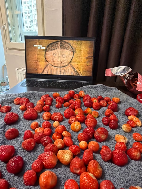 Strawberries, snacks, and a laptop on a grey blanket in Koltushi