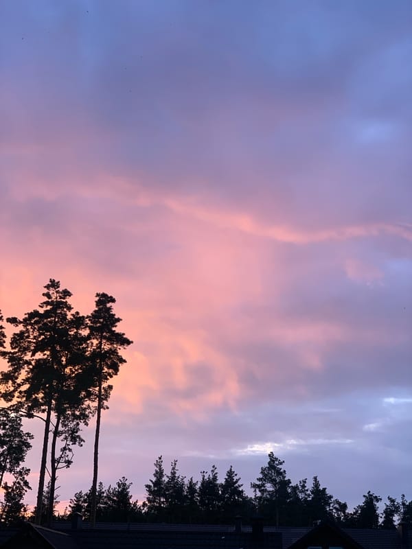 Pink and purple sunset fades over Hostomel rooftops and pines