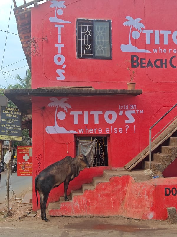 Morning scenes from Arambol: yoga school, restaurant, street food