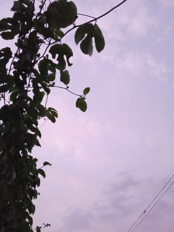 Purple sky phenomenon observed in Tinaquillo, Venezuela